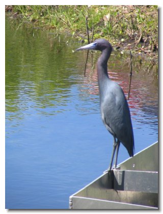 Florida 2006 (58)